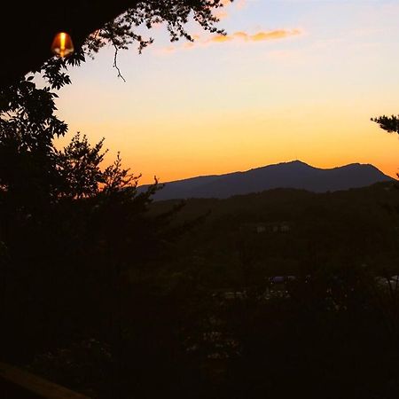Bluff Mountain View Villa พิเจนฟอร์จ ภายนอก รูปภาพ